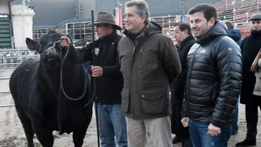 Don Pablo fue el primer animal en ingresar a La Rural