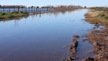 El principal problema de los productores bonaerenses.