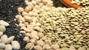 La mesa de trabajo se encargará de la actualización permanente y ejecución del Plan Estratégico de Legumbres.