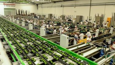 El empleo agroindustrial creció menos de 1% interanual en febrero