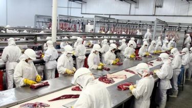Pospusieron el comienzo del troceo de carne por 75 días