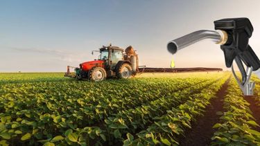 Energía dispuso que el bioetanol a base de caña de azúcar aumente 25,93%.