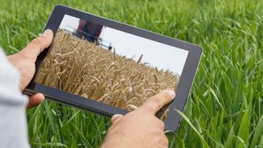 Terminan las convocatorias para emprendedores tecnológicos del agro