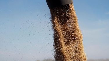 Las agroexportaciones de Latinoamérica subieron más de 8% en abril