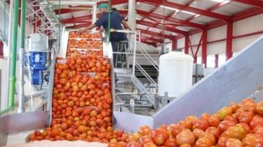 La industria alimenticia sufrió una retracción cercana al 5%