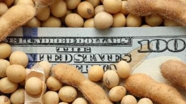 Calculan que el agro le dejará al Estado unos U$S 12.150 millones en 2017