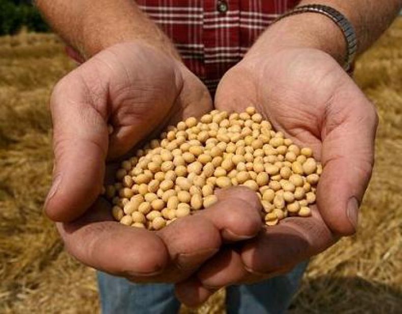 Los precios de los alimentos en América Latina subieron un 1,3 por ciento en marzo