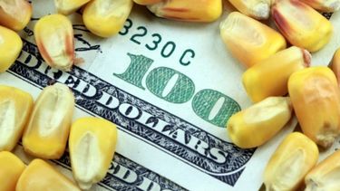 Esperan que la liquidación de divisas llegue a US$ 10.000 millones