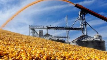 El campo puede devengar US$ 21.400 millones en lo que resta del año