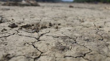 Agroexportaciones afectadas por la sequía.