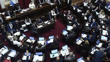 La reforma previsional y el pacto fiscal pasaron la prueba del Senado