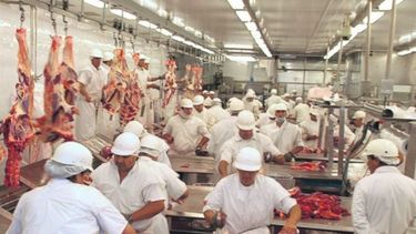 Frigoríficos deberán hacer un pago a cuenta por la seguridad social