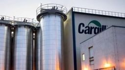 Cargill invertirá 1.000 millones de dólares en América Latina