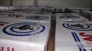 Empresa argentina alcanza un récord de exportaciones de carne a China