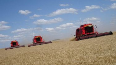 La Mesa de Enlace analiza seguir con el paro