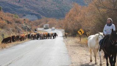 Un alivio para los productores de la región.