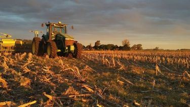 La sequía causó la pérdida del 10% del trigo en la región núcleo
