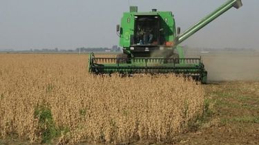 Argentina adquirió un total de 590.000 toneladas de soja estadounidense