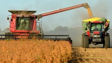 Mejora la perspectiva sobre las producciones de soja y maíz