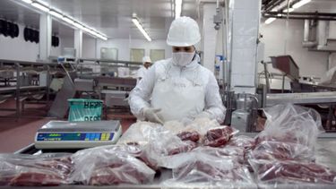 Extendieron por un mes los plazos a adjudicatarios de la Cuota Hilton 2020/21