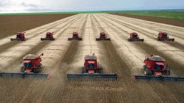 Brasil proyecta una cosecha récord de granos para 2022