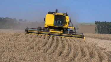 El clima y los precios internacionales podrían reducir la rentabilidad del campo en 2022