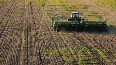 Reportan avances de la siembra de soja en Santa Fe