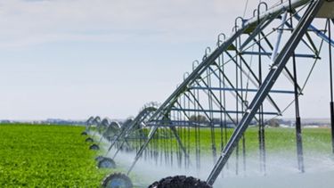 Dan consejos para avanzar hacia la agricultura del futuro