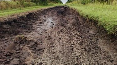 El mal estado de los caminos rurales dificulta la tarea de productores puntanos