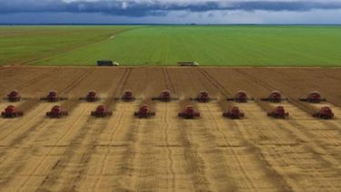 El área implantada de soja subió a 20,45 millones de hectáreas