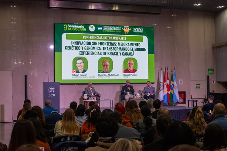 La exposición de los especialistas.