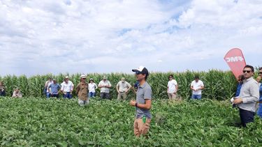 Defender el potencial es una decisión estratégica.