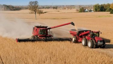 Brasil: la cosecha de granos caerá más de 5% en 2018