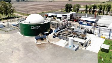 Frigorífico inaugura planta generadora de energía desde residuos orgánicos