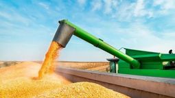 Las exportaciones de maíz llegaron a un récord en 2019