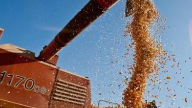 La agroexportación volvió a experimentar una semana de retrocesos
