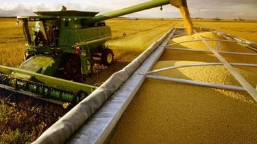 Calculan que la cosecha de soja llegará a las 59 millones de toneladas