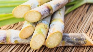 Determinan el precio para adquirir bioetanol a partir de la caña de azúcar y maíz