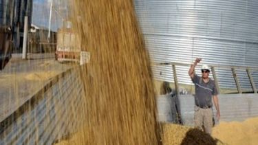 Confirman que la liquidación de divisas se desarrolla con normalidad