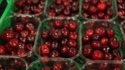 "En tiempo récord concretamos el primer envío de cerezas a China"