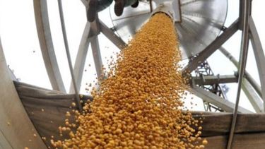 Buen dato semanal para la actividad agroexportadora