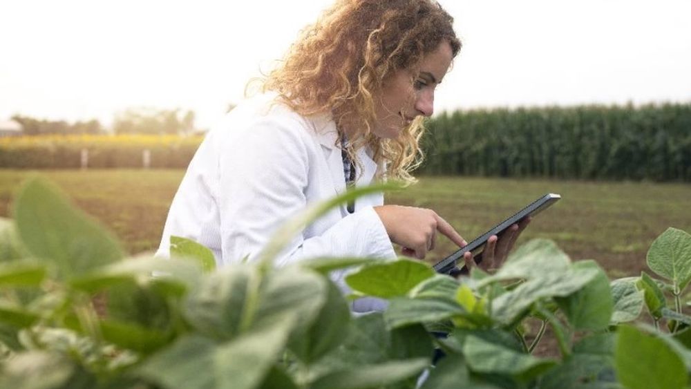 Nanotecnología y soluciones biológicas de simple aplicación.