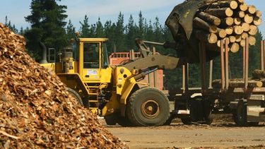 Ventajas para el sector.