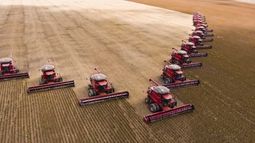 Los datos de la soja de Brasil.