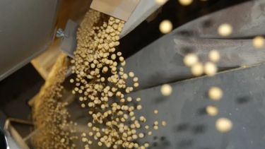 Subrayan que el valor bruto de la producción granaria alcanzaría los US$ 30 mil millones