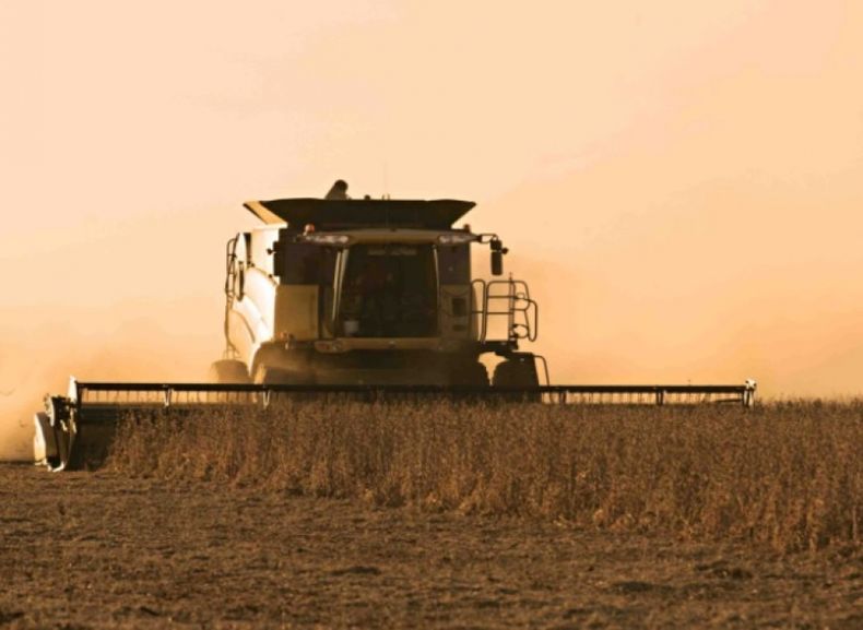Siembra de soja cubrió casi la mitad de la superficie calculada en el país