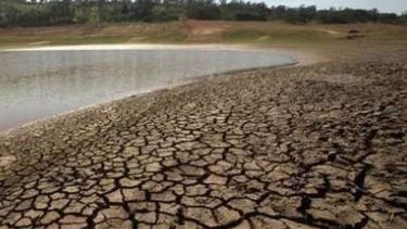 Entre Ríos está bajo emergencia agropecuaria por la sequía