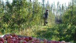 Economías regionales de tres provincias recibieron beneficios oficiales