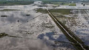 Declaran la emergencia agropecuaria para dos departamentos de Santa Fe