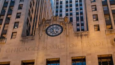 La soja dejó atrás la racha negativa en Chicago